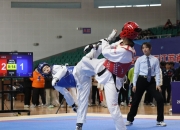 米兰APP下载-关于跆拳道选手取得胜利赛场风采的信息