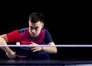 米兰APP下载-关于奥地利乒乓球队完胜日本乒乓球队，奥恰洛夫绝境逆转的信息